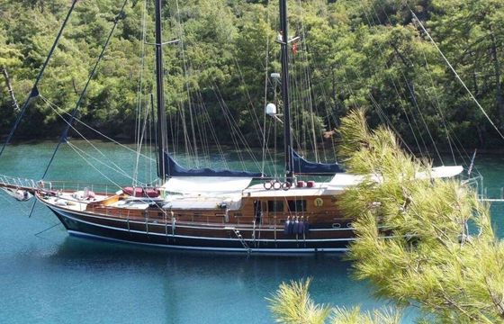 Gulet Gulet Cruise Olbia Gulet Olbia 39m