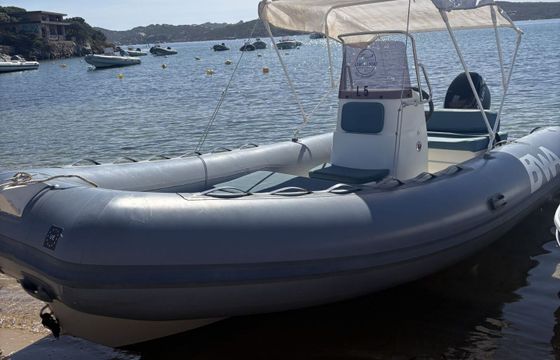 RIB Bwa 550 Con Motore 40/60 Suzuki 40hp