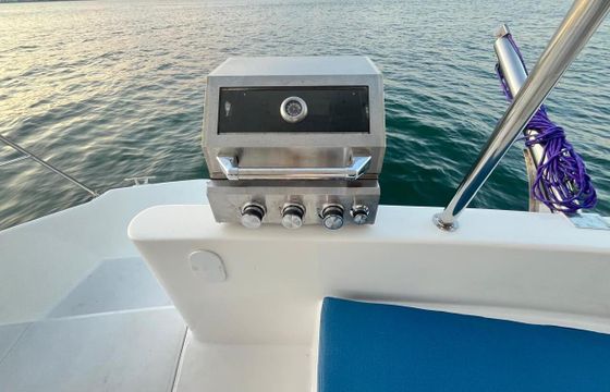 Motorboat Flash Catflash 43 110hp