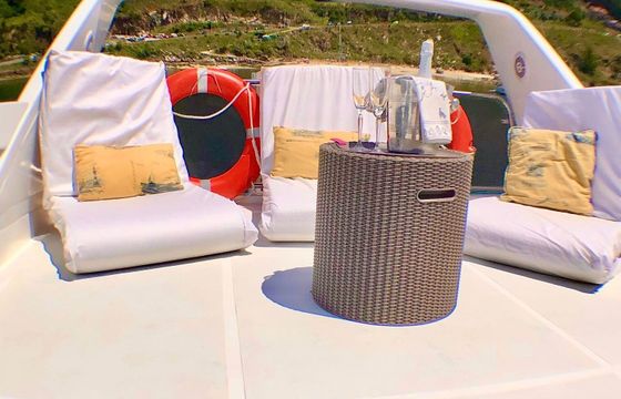 Motorboat Gallart 13 360hp