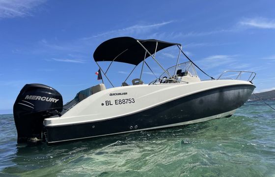 Motorboat Quicksilver Activ 675 Open 200hp