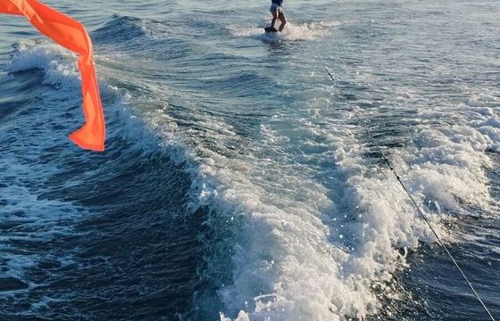 RIB Remus 525 sc 60hp