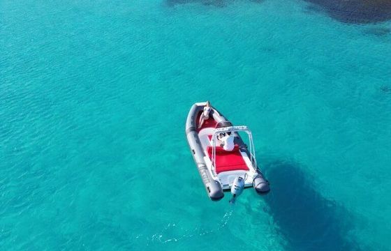 Boat without licence  Alson 600 40hp