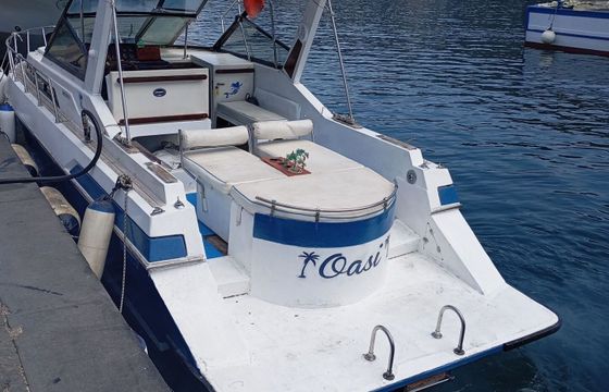 Motorboat Dalla Pieta' 28 ALTAIR 400hp