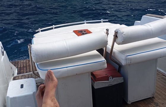 Motorboat Dalla Pieta' 28 ALTAIR 400hp