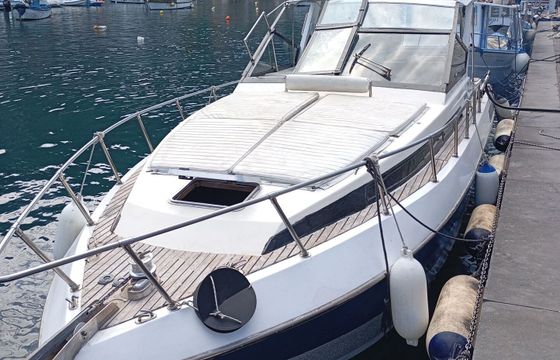 Motorboat Dalla Pieta' 28 ALTAIR 400hp