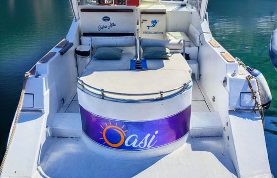 Motorboat Dalla Pieta' 28 ALTAIR 400hp