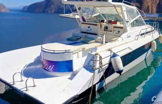 Motorboat Dalla Pieta' 28 ALTAIR 400hp