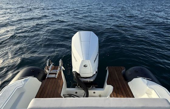 Motorboat Saver MG 698 250hp