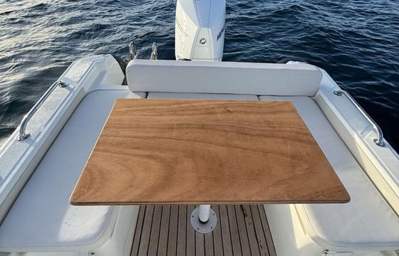 Motorboat Saver MG 698 250hp