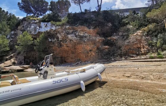 RIB Sacs 540 young 90hp