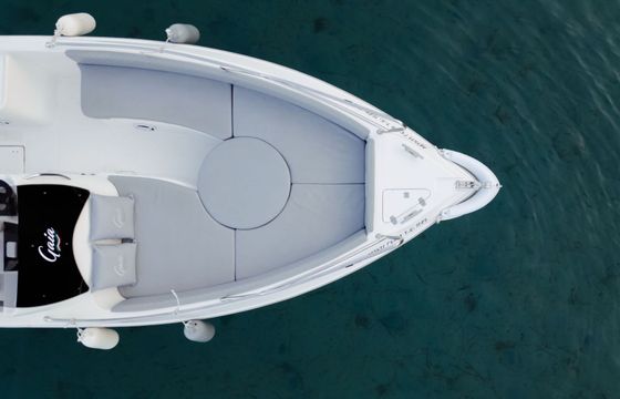 Motorboat Gaia 220 OPEN 150hp