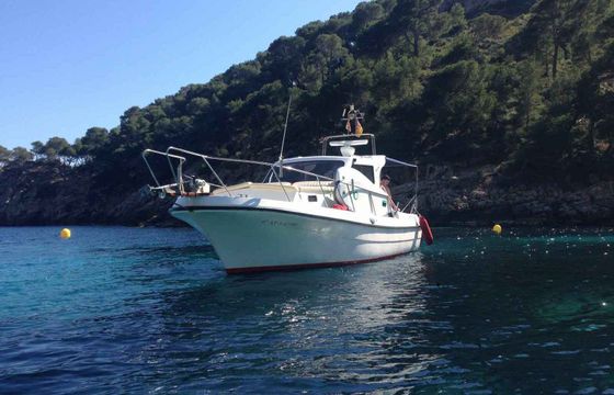 Motorboat Blasco 80 240hp