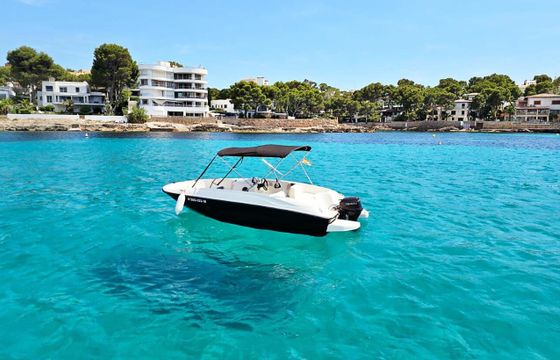 Boat without licence  Bayliner Element E5 15hp