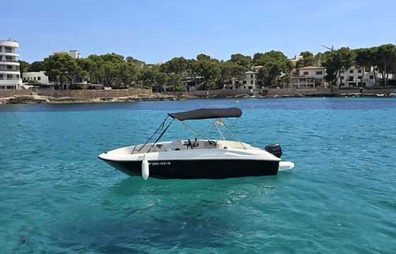 Boat without licence  Bayliner Element E5 15hp