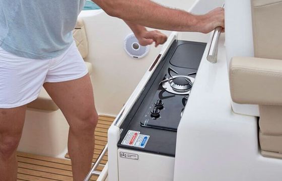 Motorboat Quicksilver Activ 875 Sundeck 450hp