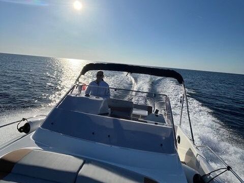 Motorboat BENETEAU FLYER 9 250hp