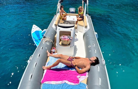 RIB NEUVISA TARPON 790 250hp
