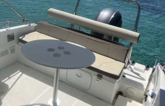 Motorboat Beneteau Flyer 6.6 Sundeck 150hp