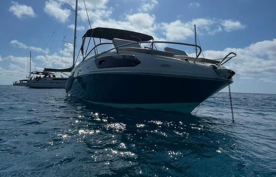 Motorboat Bayliner Vr6 200hp