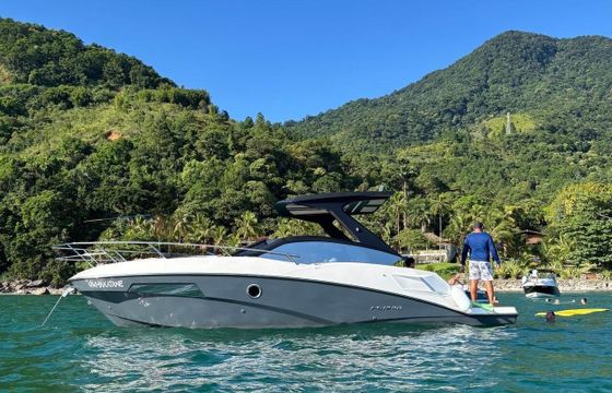 Motorboat FS 29 Concept 300hp