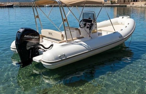 RIB Bsc Bsc 65 150hp