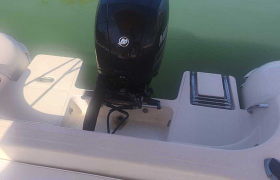 RIB Bsc Bsc 65 150hp
