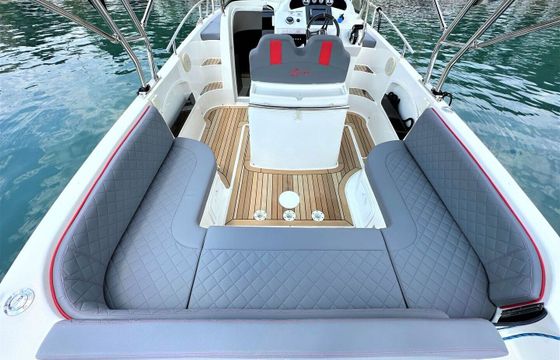 Motorboat Saver 750 Wa 250hp