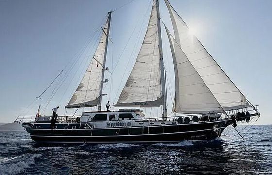 Sailboat MOTORSAILOR DEA DEL MARE 560hp