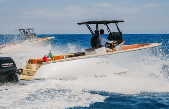 Motorboat Lilybaeum Yacht Levanzo 25 300hp
