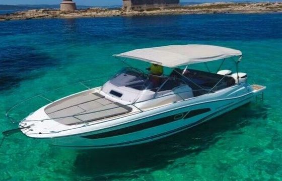 Motorboat Jeanneau Cap Camarat 9.0 WA 500hp
