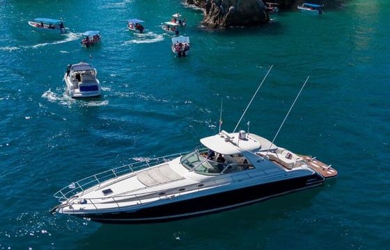 Motor yacht Sea Ray Sundancer 800hp