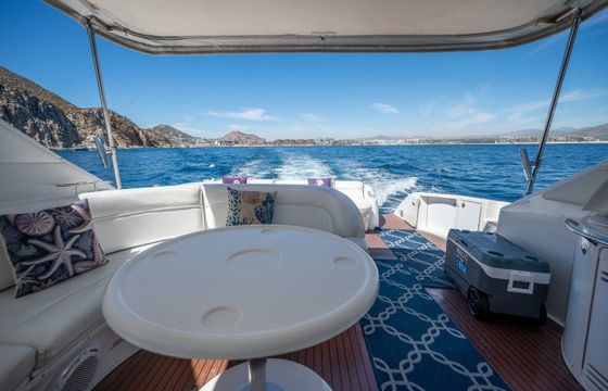 Motor yacht Sea Ray Sundancer 800hp