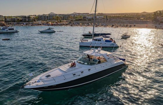 Motor yacht Sea Ray Sundancer 800hp
