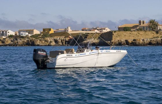 Motorboat Allegra Boats 21 Open 150hp