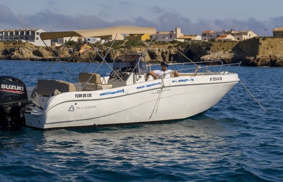 Motorboat Allegra Boats 21 Open 150hp