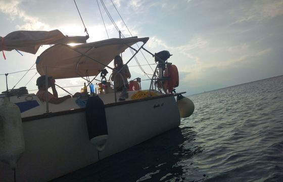 Sailboat Dromor Dromoro Apollo 12 12m