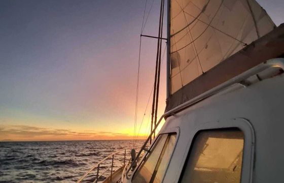 Sailboat Proprio Multishine 2012 12.6m