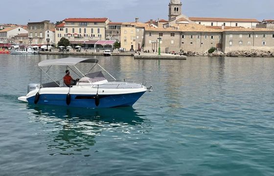 Motorboat Atlantic Marine Sun Cruiser 630 150hp