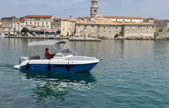 Motorboat Atlantic Marine Sun Cruiser 630 150hp
