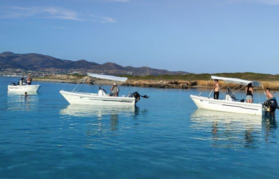 Motorboat Nikita Searover 2 32hp