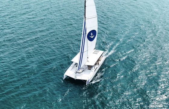 Sailing yacht Satisfaction Party Catamaran 16.7m