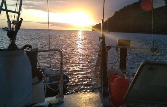 Sailboat Reves d'antilles Chantier Phinot 12m