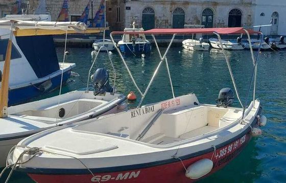 Motorboat VEN 501 8hp