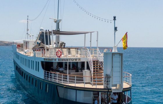Motor yacht Uljanik Shipyard Custom 100hp