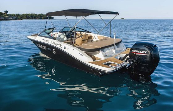 Motorboat Sea Ray 190 Spx 150hp