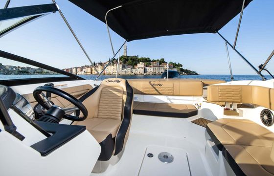 Motorboat Sea Ray 190 Spx 150hp