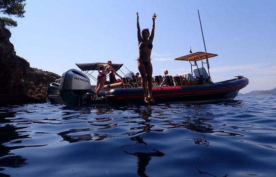 RIB Lolivul 9 250hp