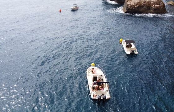 Motorboat Quicksilver Activ 605 Open 115hp