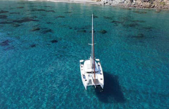 Catamaran Excess 11 - Pulse Line Version 11m